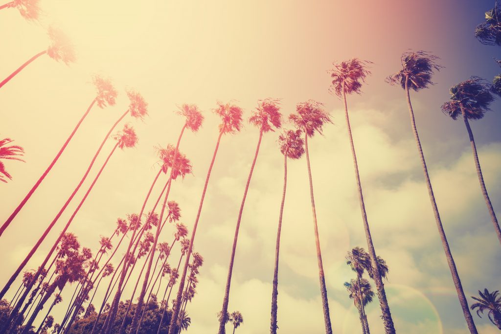 Center for Professional Recovery New Website